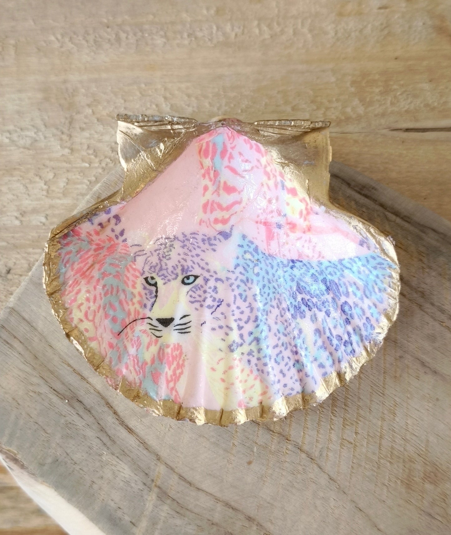 Coquille saint Jacques décorative