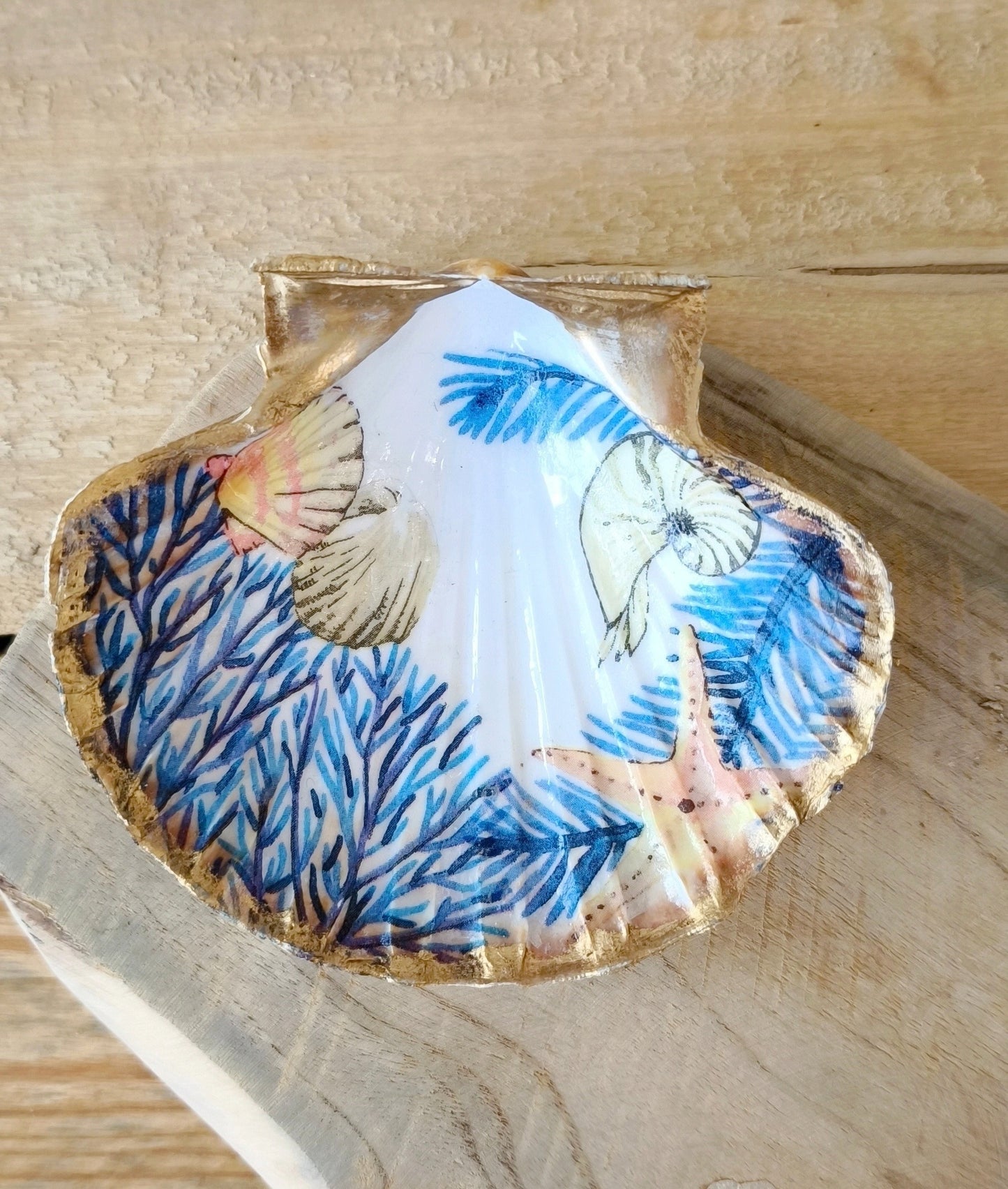 Coquille saint Jacques décorative