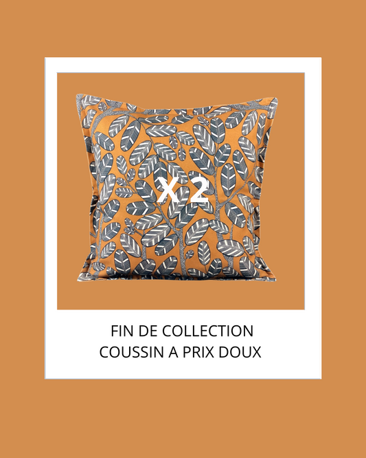 Duo de coussin carre  60X60 CM/ lagoon orange