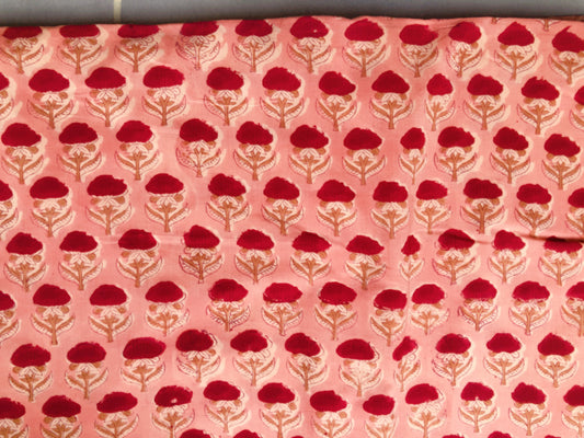 Coupon voile de coton indien 4mx1m10