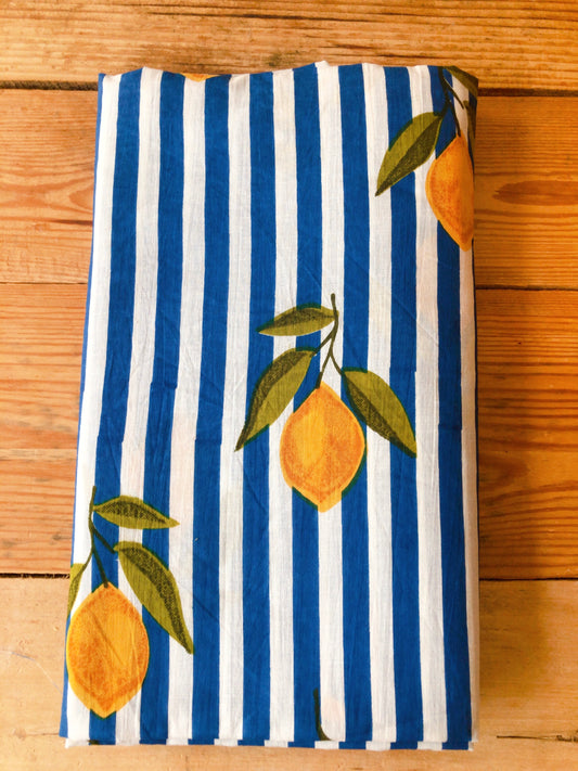 Coupon voile de coton indien 2m x1m10