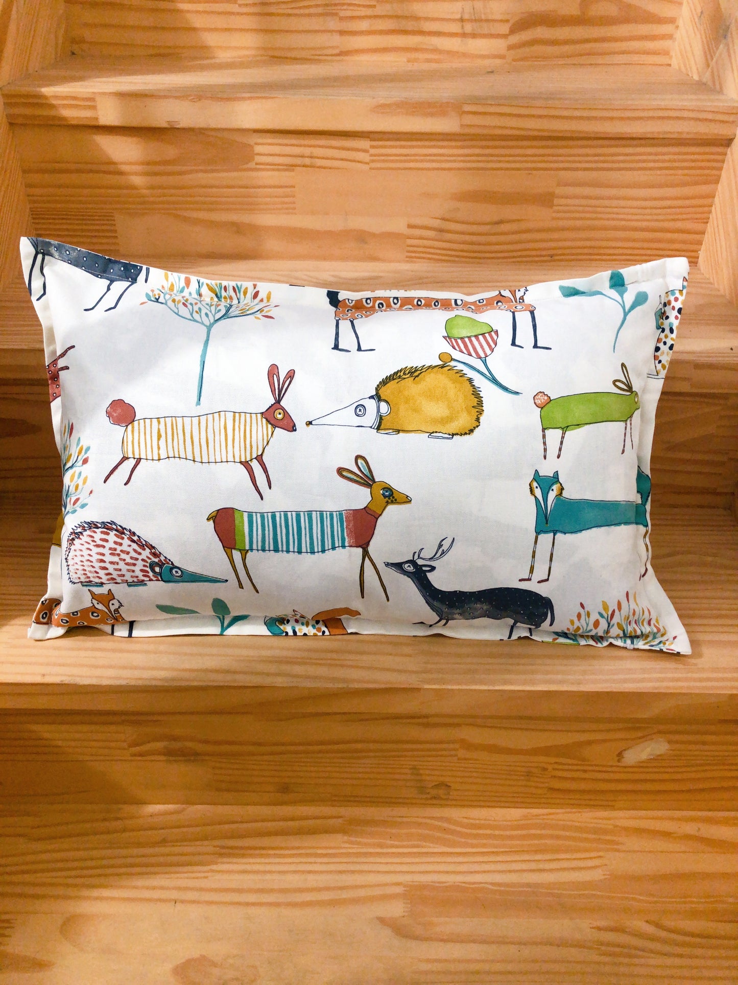 1 Housse de coussin assortie pour intérieur standard 60X40 motifs enfants