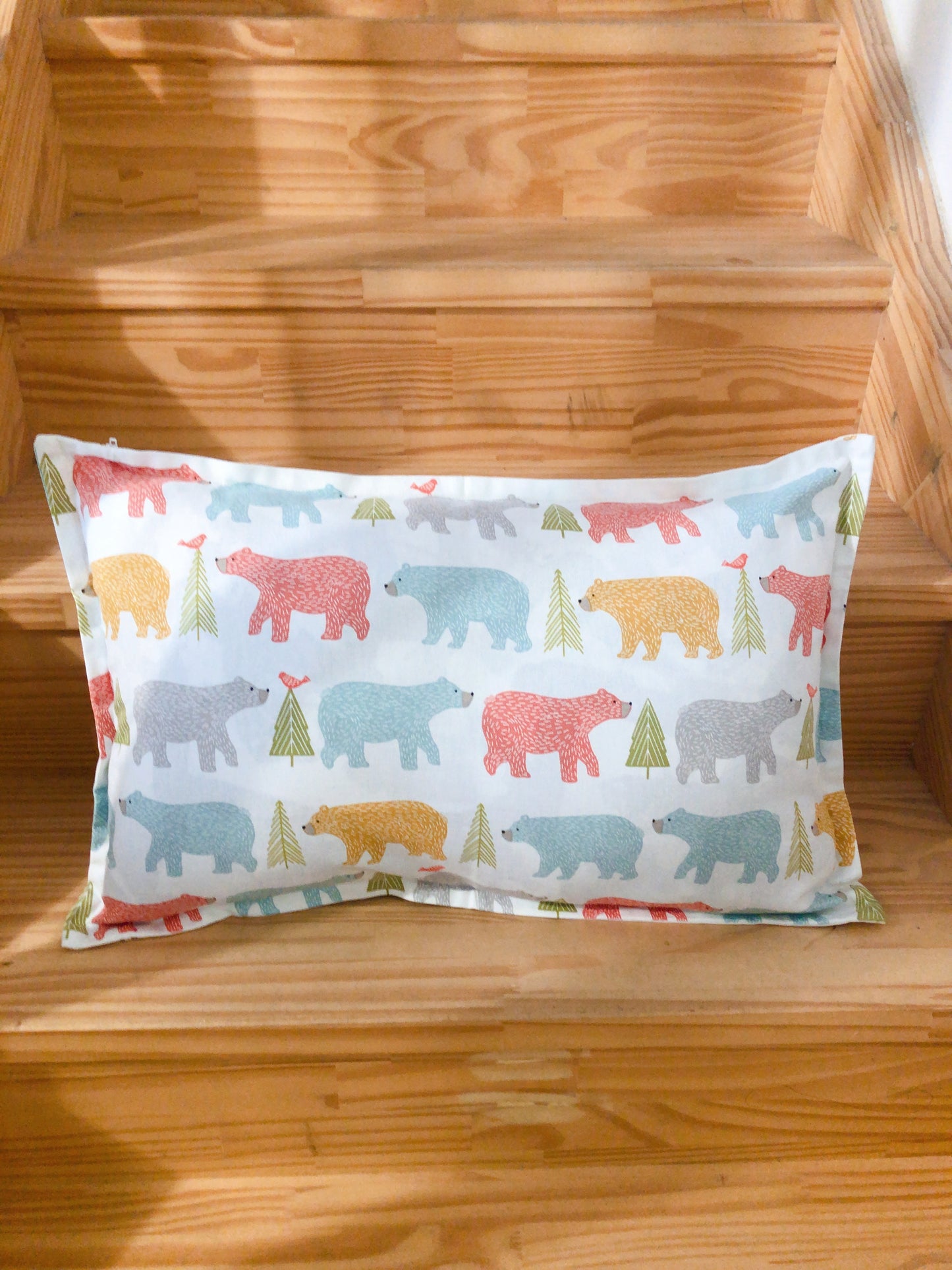 1 Housse de coussin assortie pour intérieur standard 60X40 motifs enfants